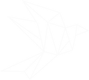 Coin Nodes